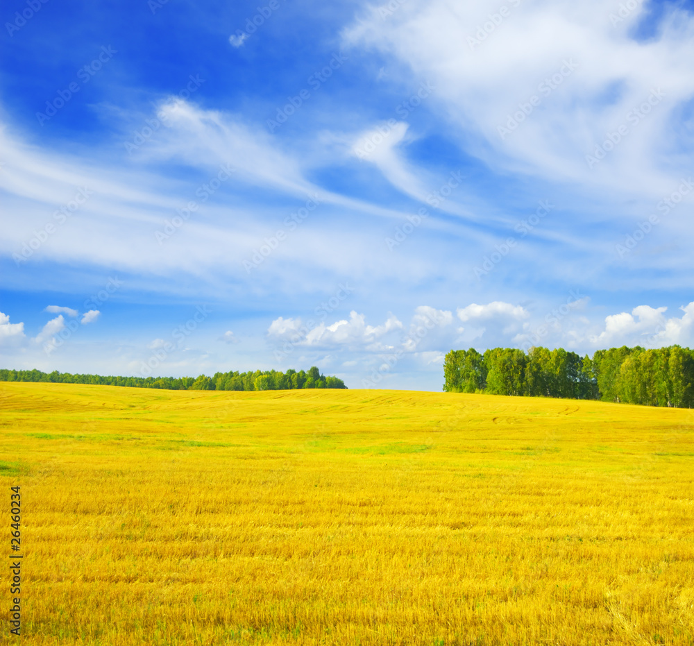 Fototapeta premium Autumn landscape