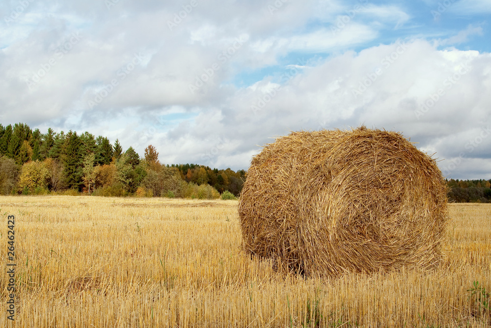 Haystack in the field