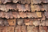dry teak leaf used as roof top, this is commonly found around su