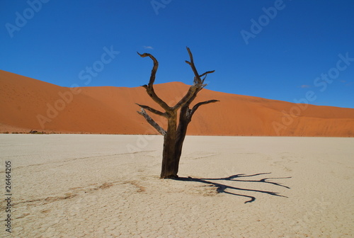 Deadvlei Namibie