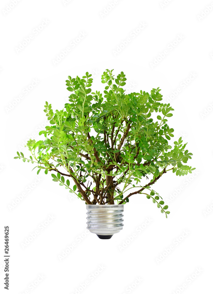 Green energy Green energy