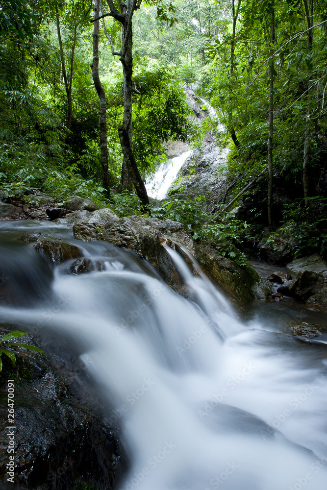 Beautiful maple leaves of Phu Kradueng on waterfall Beautiful maple leaves of Phu Kradueng on waterfall