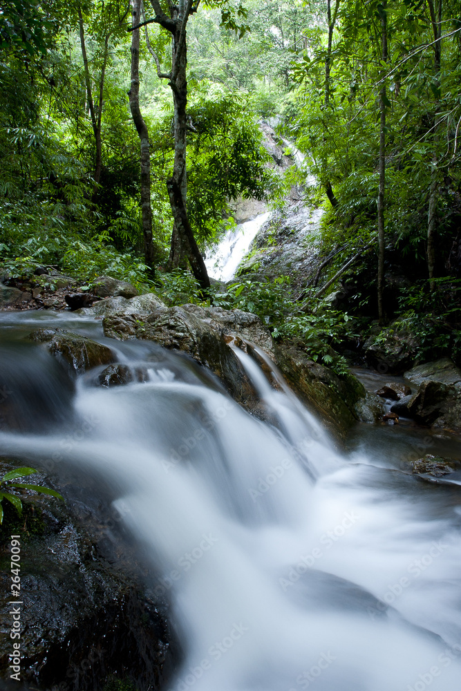 Beautiful maple leaves of Phu Kradueng on waterfall