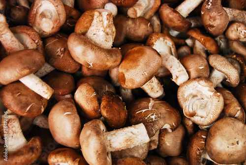 Many of Chinese mushroom in Thailand fresh market