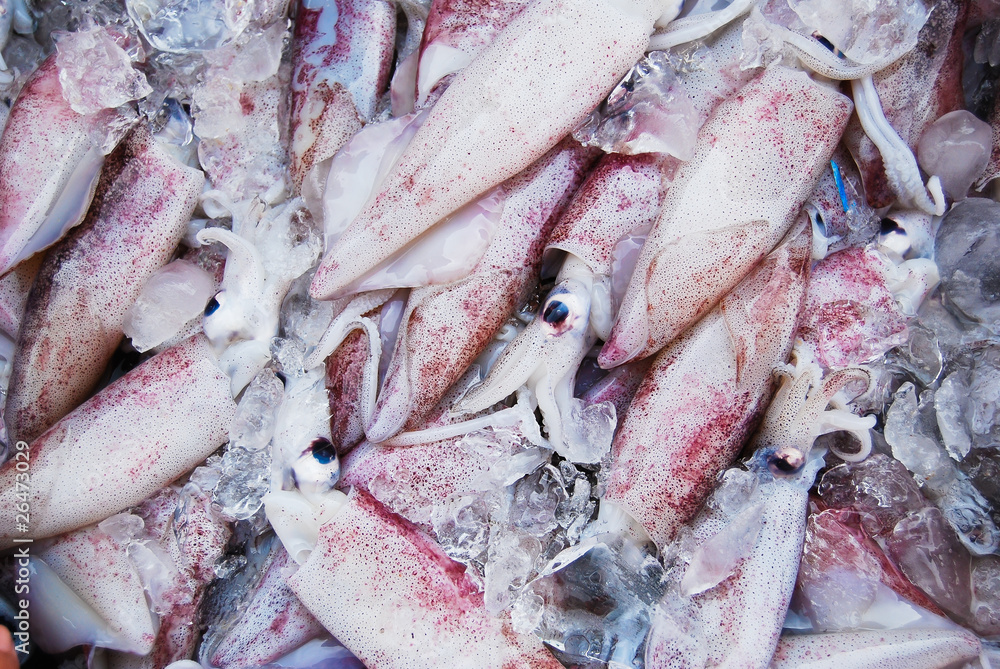 Many of raw squid in Thailand fresh market Many of raw squid in Thailand fresh market