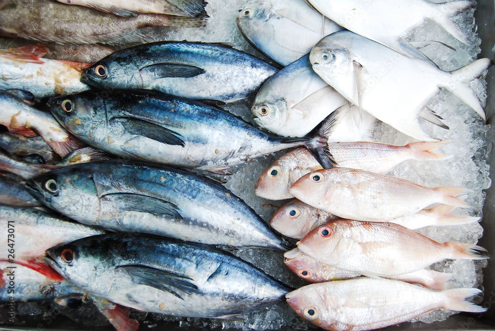 Obraz premium Many kind of fish in Thailand fresh market