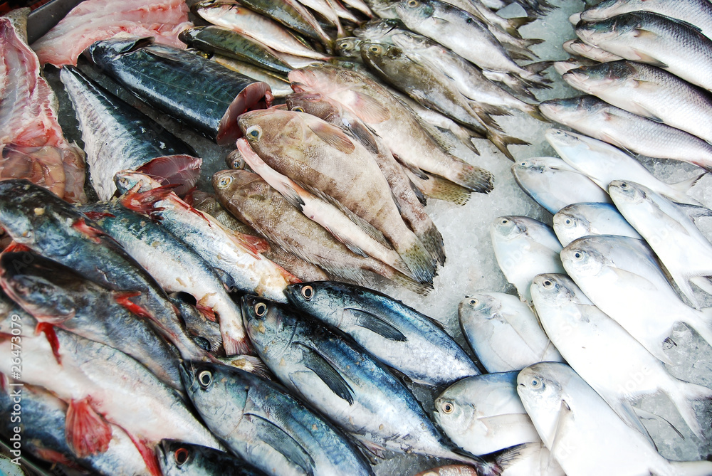 Many kind of fish in Thailand fresh market