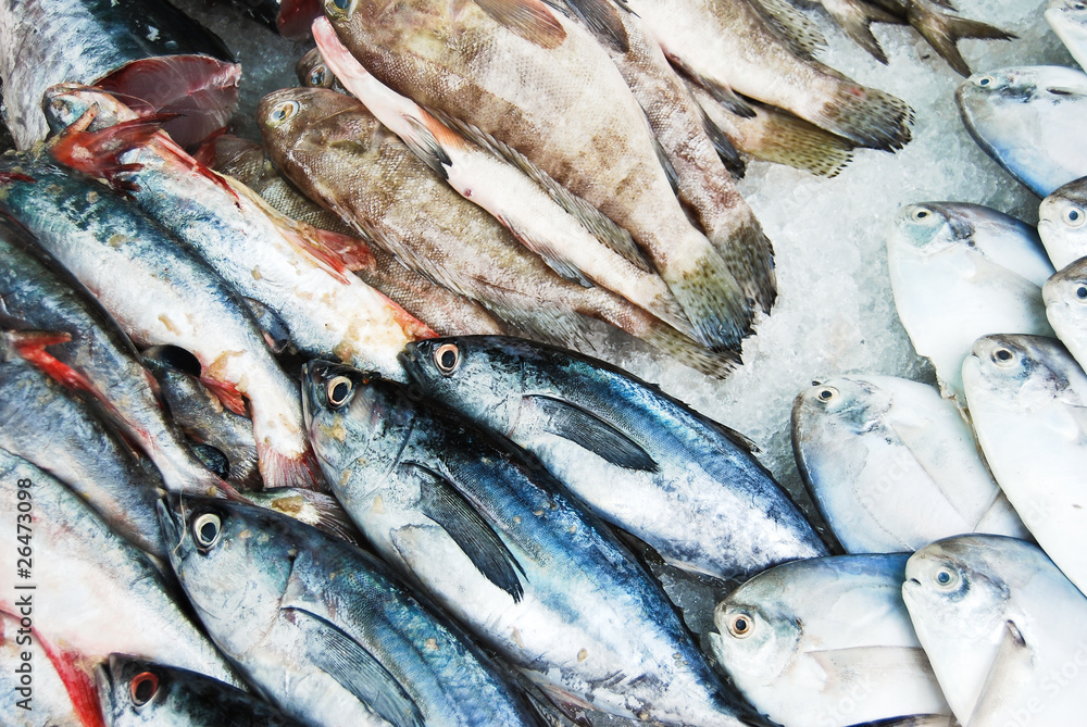 Fototapeta premium Many kind of fish in Thailand fresh market