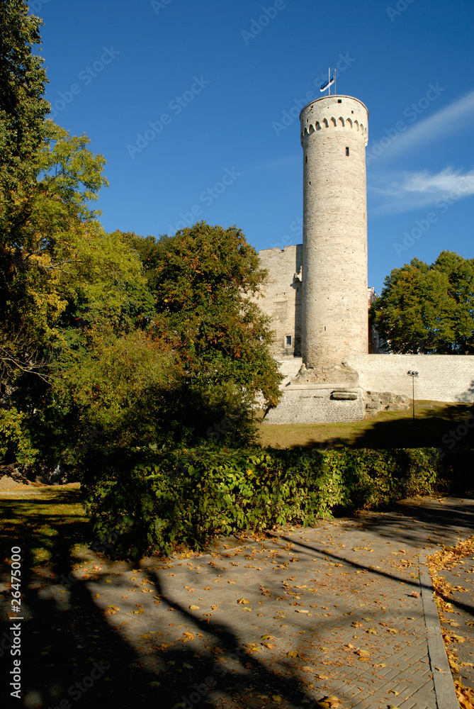 Tall Hermann (Pikk Hermann) on Toompea hill in Tallinn
