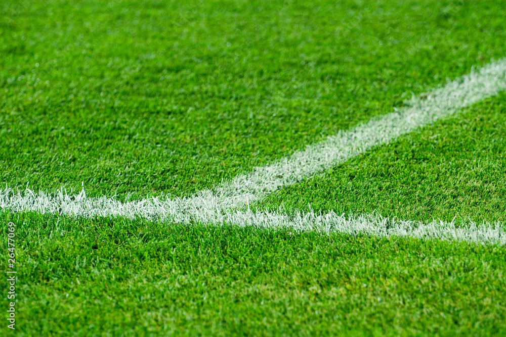 White line on a soccer field grass