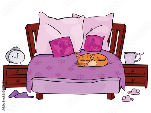 Double bed with sleeping cat