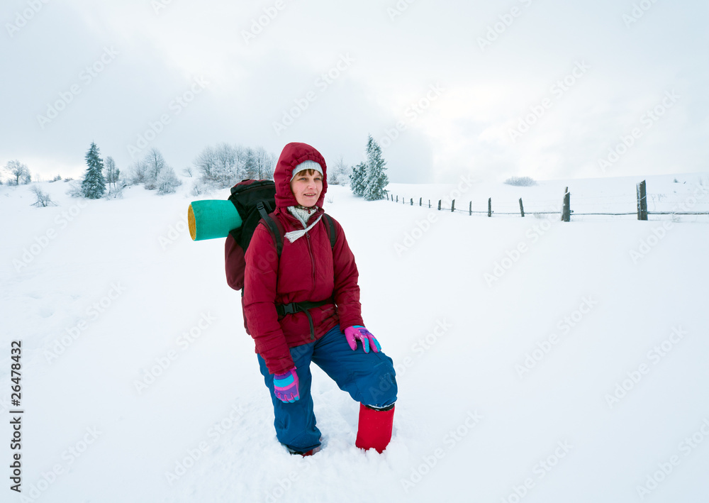 winter country mountain landscape