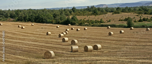 Obraz na plátně Après la moisson