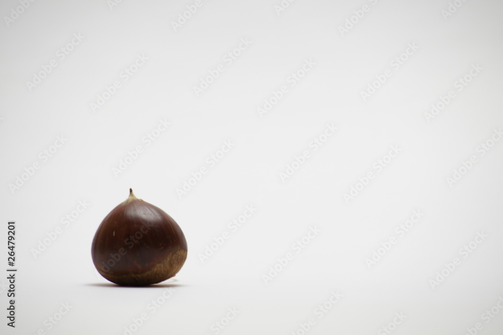 栗 栗