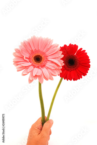 Happy birthday flowers hand