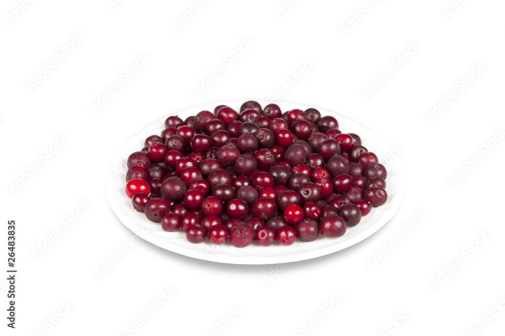 Saucer with berries cranberries Saucer with berries cranberries