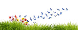 Magnifiques papillons bleus butinant des fleurs des champs