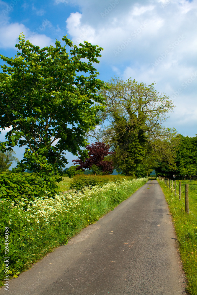 Country Lane