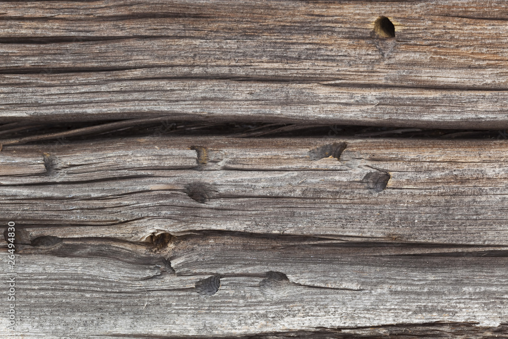 Damage on wood anfter wood ant. Damage on wood anfter wood ant.