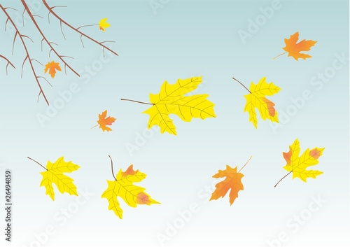 Autumn
