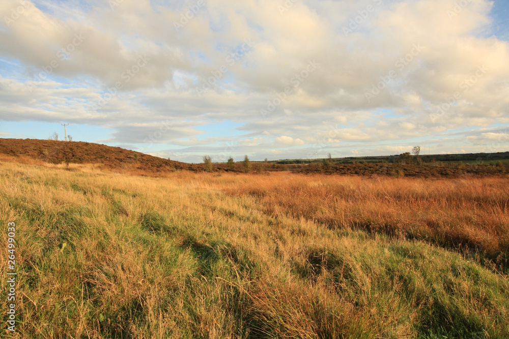 Autumn in Scotland