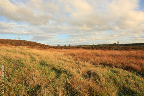 Obraz na płótnie Autumn in Scotland w salonie