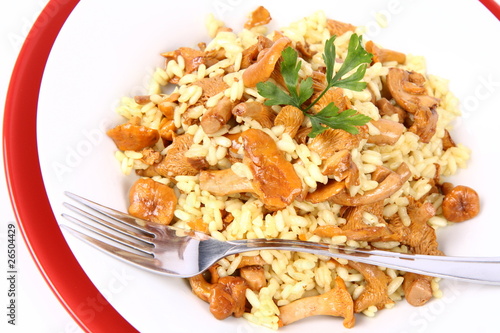 Risotto with mushrooms decorated with parsley and a fork photo