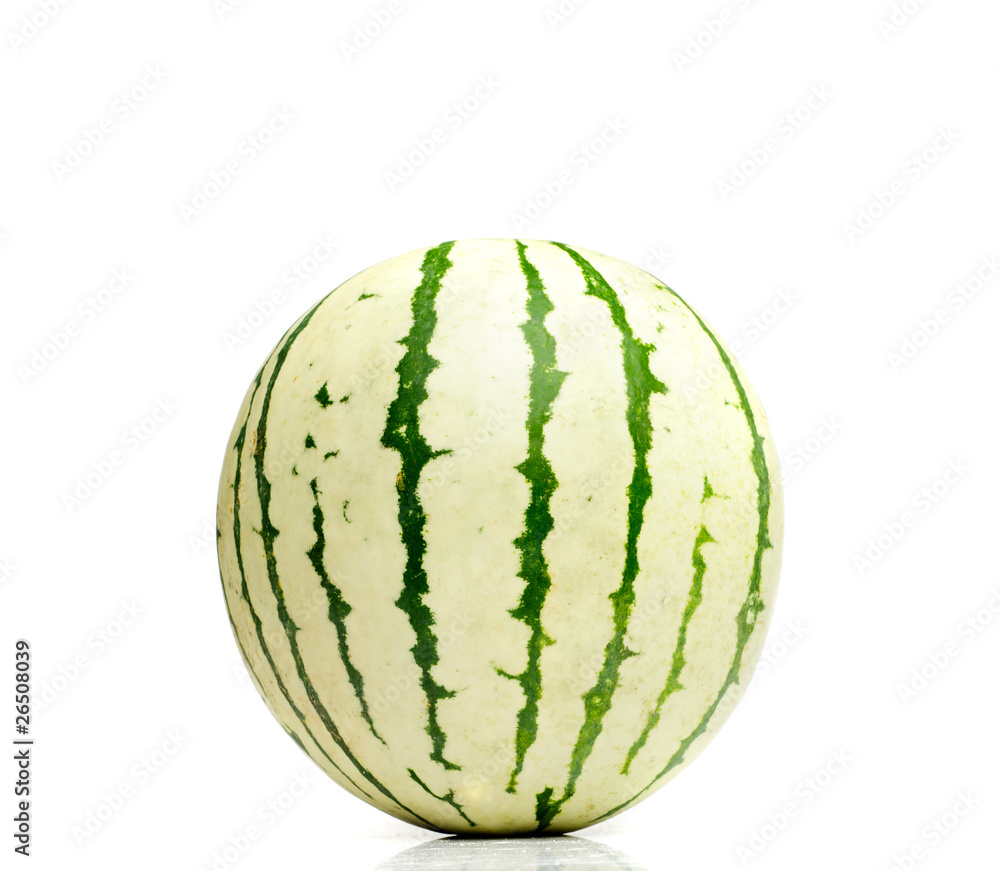 Watermelon Watermelon
