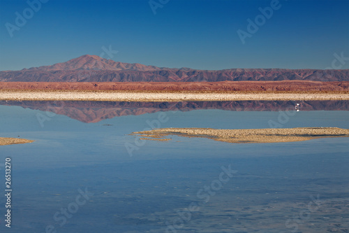 Laguna Chaxa in Salar de Atcama, Chile photo