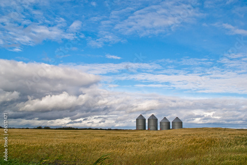 A row of four grain bins in the distance on a prairie field