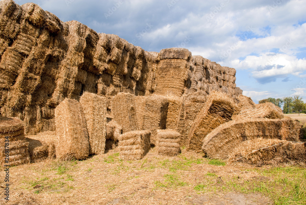Haystacks bales in countryside Haystacks bales in countryside