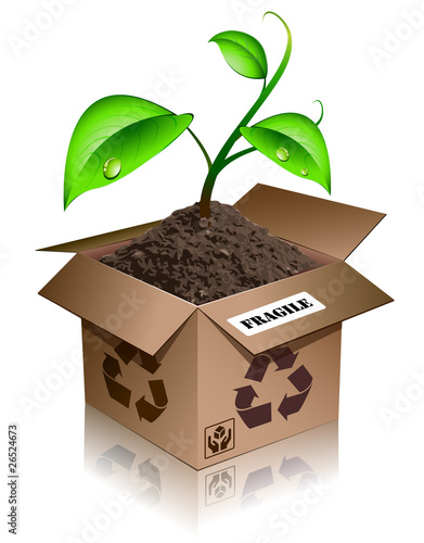 box plant fragile