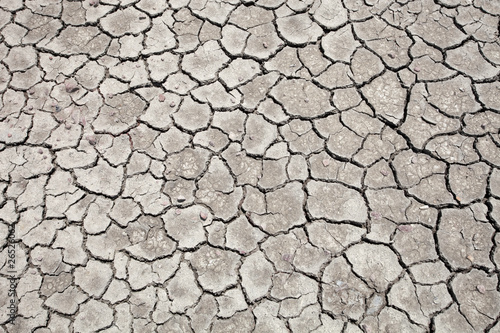 Cracked soil background