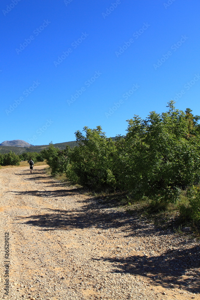 Fototapeta premium Hiker on the way to Troglav (Croatia)