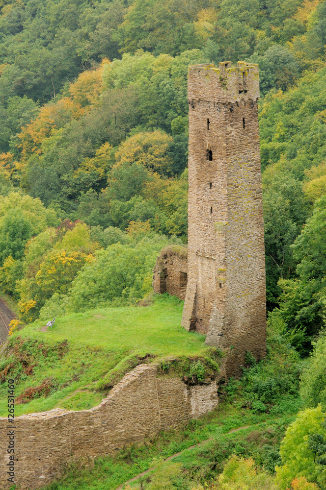 Monreal Burg - Monreal castle 03 Monreal Burg - Monreal castle 03