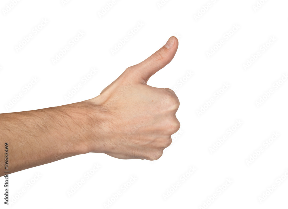 Counting man hand (1 to 5, back of the hand) on white background Counting man hand (1 to 5, back of the hand) on white background