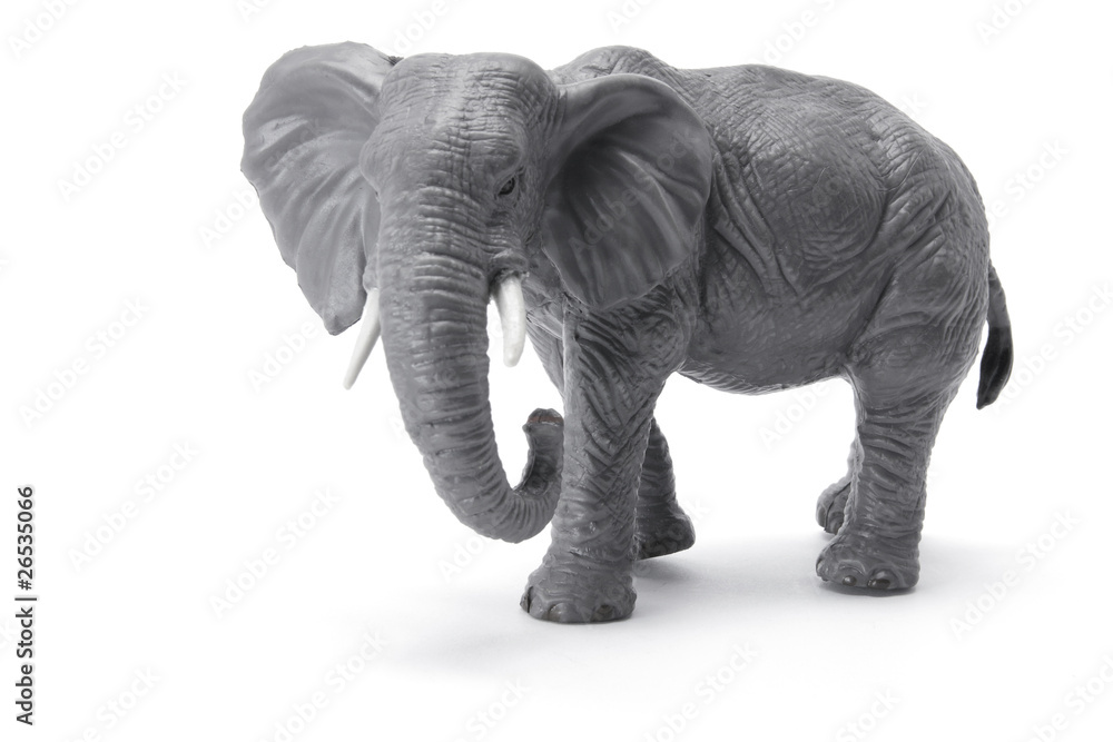 Fototapeta premium Miniature Elephant