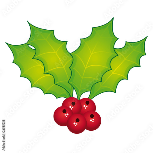 Holly berries