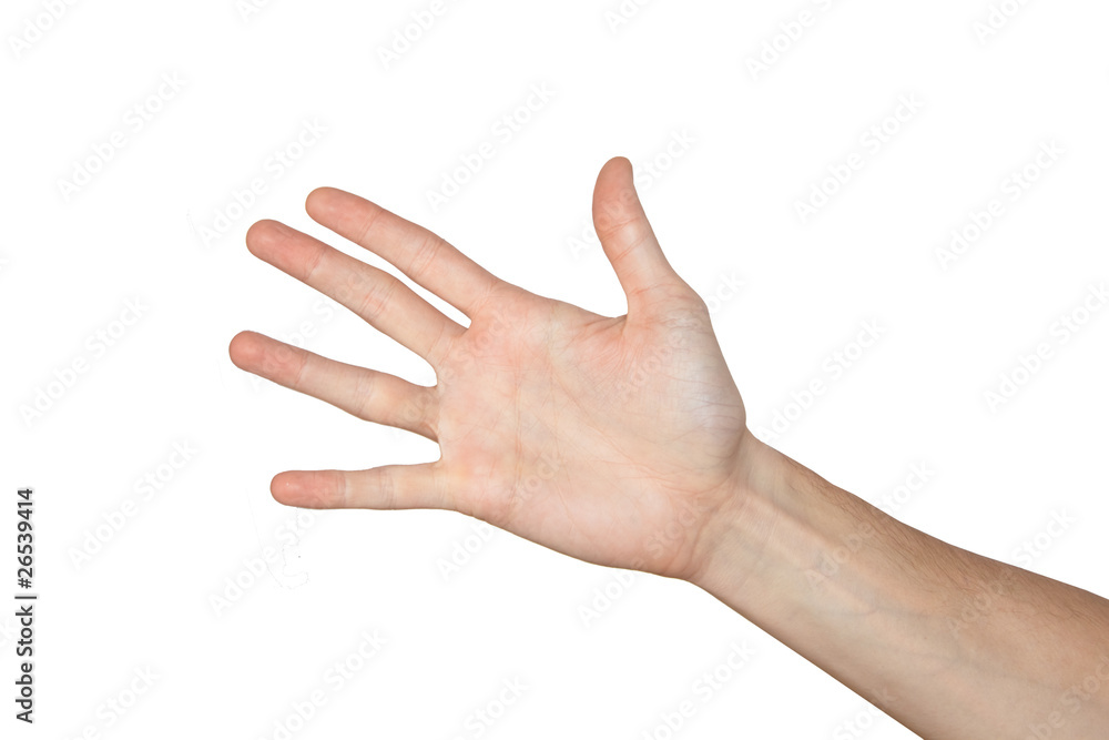 Counting man hand (1 to 5) isolated on white background Counting man hand (1 to 5) isolated on white background