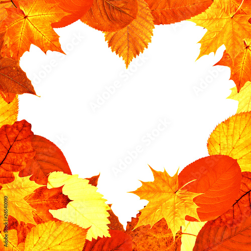 heart shape red and yellow leaves frame