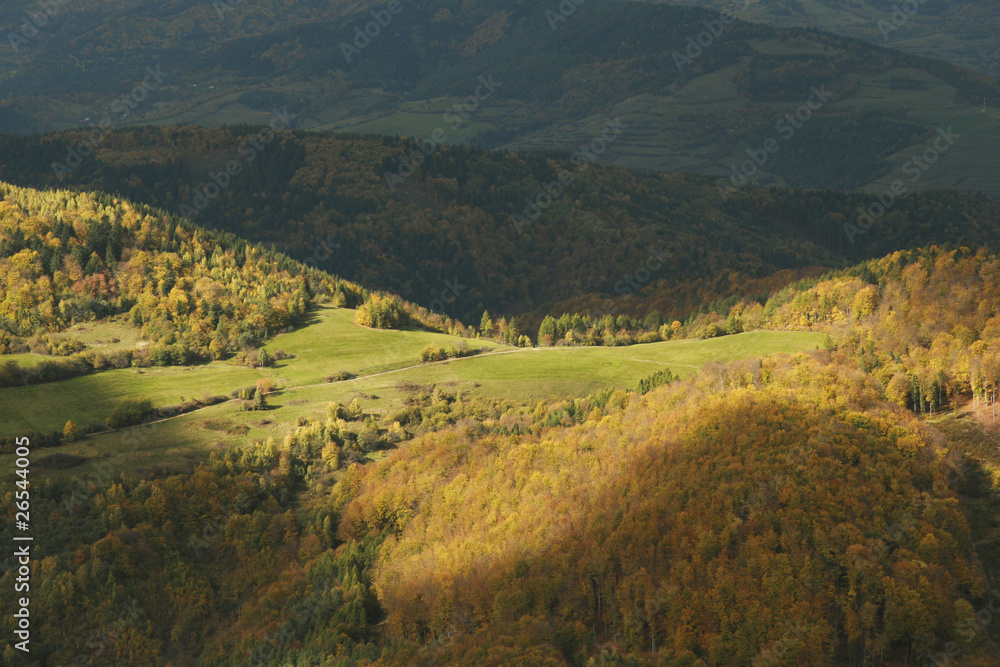 Obraz premium Hubacka, Kojsov