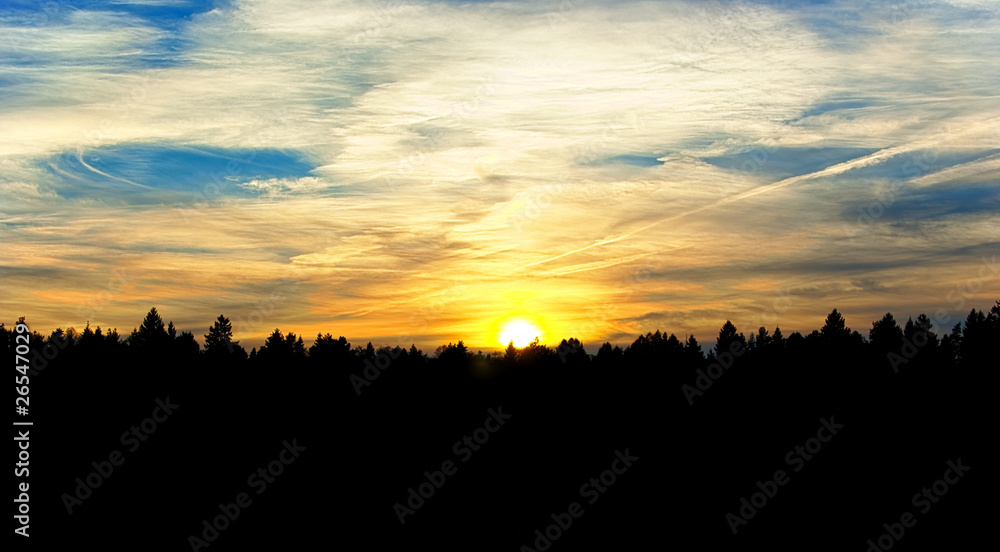 Fototapeta premium Dramatic sunset over forest