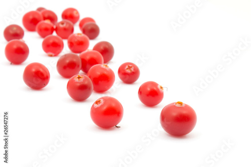 Cranberries on white background.