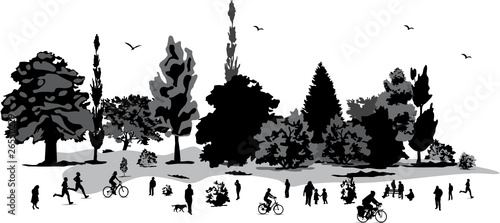 PROMENADE DANS LE BOIS