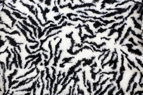 Zebra fabric texture