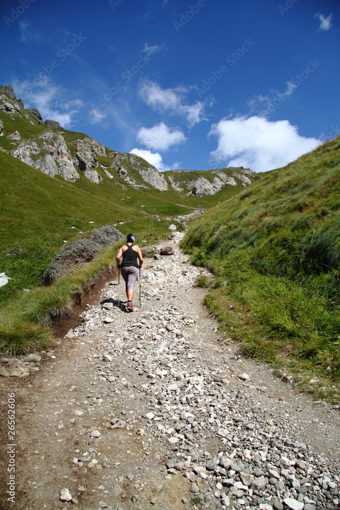 Mountain path to reach Vescovo Door,Canazei