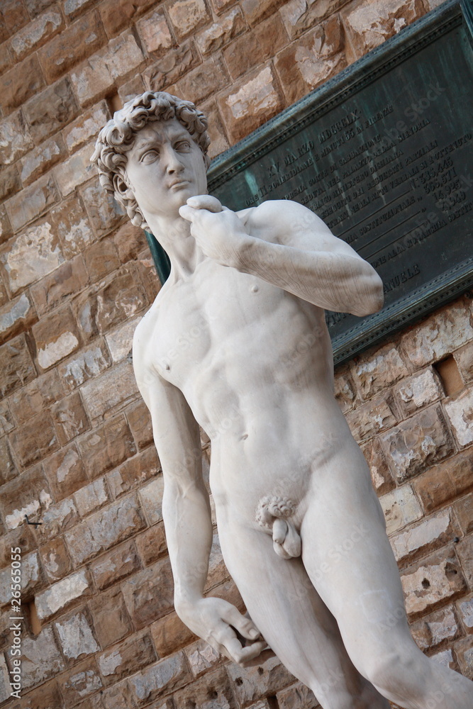 Obraz premium David Statue in Florence Tuscany