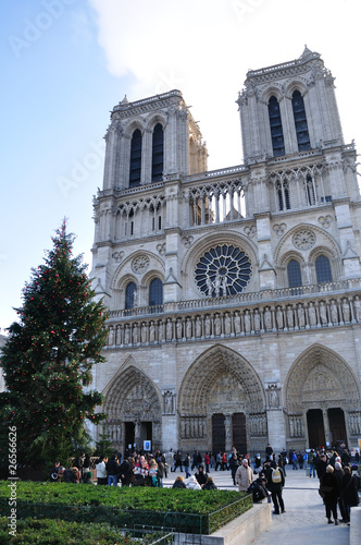 Notre Dame Cathedral with Christmas tree - Paris, France