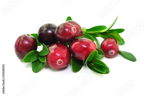 Cranberries