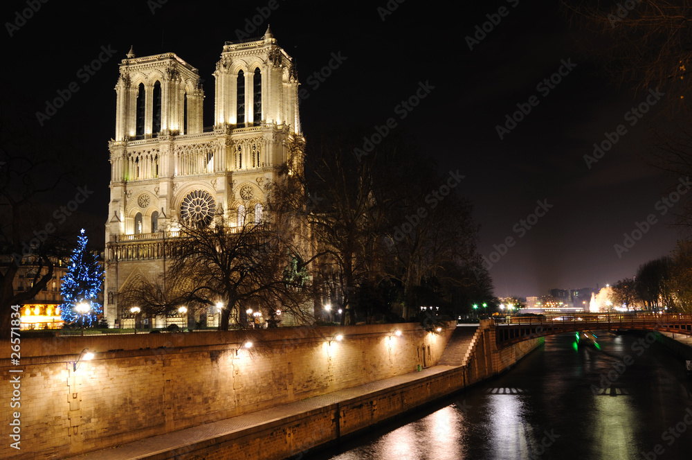 Notre Dame Cathedral and Seine - Paris, France